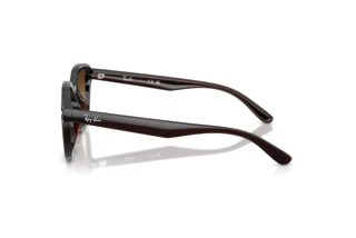 Vista laterale Ray-Ban RB4458D (714/13)