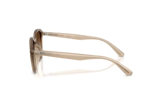 Vista laterale Ray-Ban RB4459D (616613)