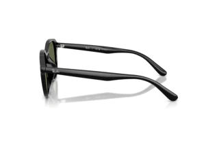 Vista laterale Ray-Ban RB4459D (901/9A)