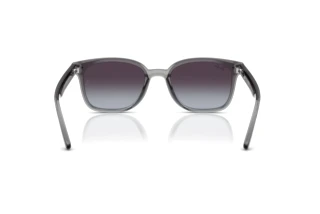 Vista posteriore Ray-Ban RB4461D (64508G)