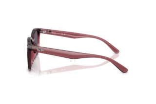 Vista laterale Ray-Ban RB4461D (659373)