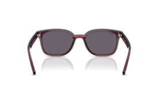 Vista posteriore Ray-Ban RB4461D (659373)