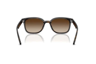 Vista posteriore Ray-Ban RB4461D (710/13)