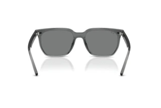 Vista posteriore Ray-Ban RB4466D (645087)