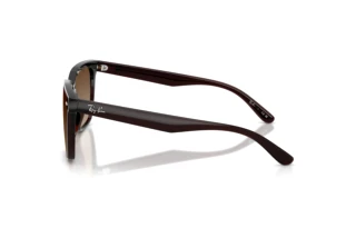 Vista laterale Ray-Ban RB4466D (714/13)