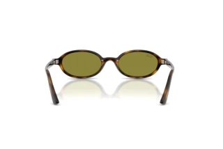 Vista posteriore Ray-Ban RB4472 (1359/2)