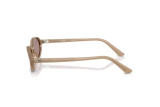 Vista laterale Ray-Ban RB4472 (6891LA)