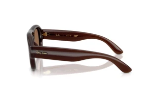 Vista laterale Ray-Ban RB4925 (689673)