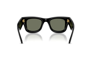 Vista posteriore Ray-Ban WAYFARER PUFFER (RB4940 - 601/30)