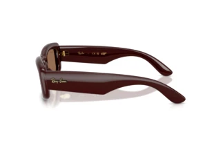 Vista laterale Ray-Ban RB4944 (687773)