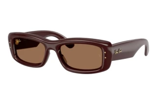 Vista frontale Ray-Ban RB4944 (687773)