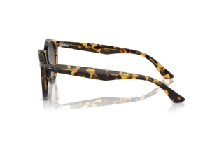 Vista laterale Ray-Ban LARRY (RB7680S - 1332GL)