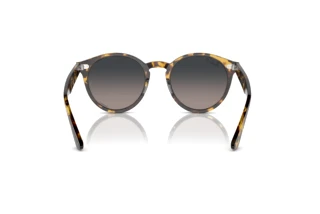 Vista posteriore Ray-Ban LARRY (RB7680S - 1332GL)