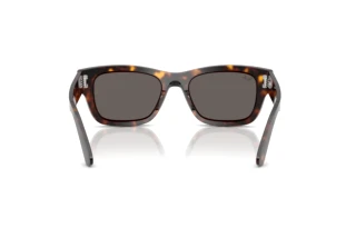 Vista posteriore Ray-Ban JOSEPH (RB7683S - 902/B1)