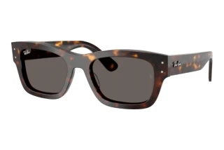 Vista frontale Ray-Ban JOSEPH (RB7683S - 902/B1)