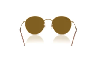 Vista posteriore Ray-Ban ROUND REVERSE (RBR0103S - 001/83)