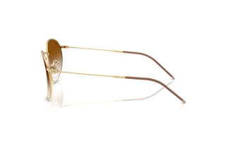 Vista laterale Ray-Ban ROUND REVERSE (RBR0103S - 001/CB)