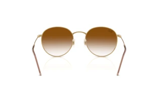 Vista posteriore Ray-Ban ROUND REVERSE (RBR0103S - 001/CB)