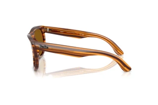 Vista laterale Ray-Ban WAYFARER REVERSE (RBR0502S - 679183)