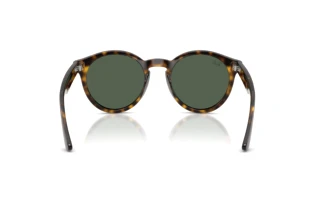 Vista posteriore Ray-Ban RBR0505S (6790VR)