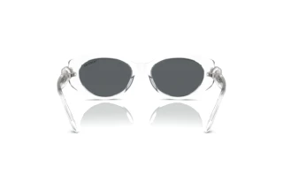 Vista posteriore Swarovski SK6002 (102787)