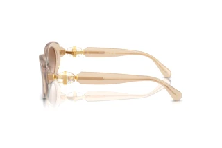 Vista laterale Swarovski SK6002 (103413)