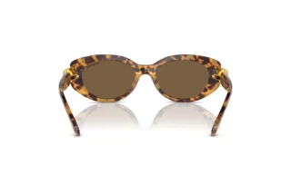 Vista posteriore Swarovski SK6002 (104073)