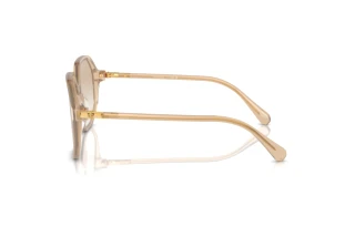 Vista laterale Swarovski SK6003 (103411)