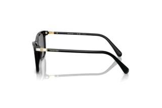 Vista laterale Swarovski SK6004 (100181)