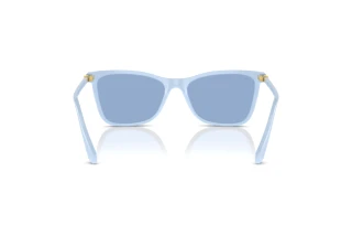 Vista posteriore Swarovski SK6004 (10061U)