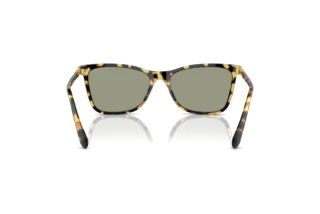 Vista posteriore Swarovski SK6004 (1009/2)