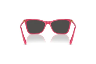 Vista posteriore Swarovski SK6004 (103687)