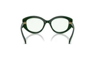 Vista posteriore Swarovski SK6005 (1026M1)