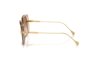 Vista laterale Swarovski SK6011 (103413)