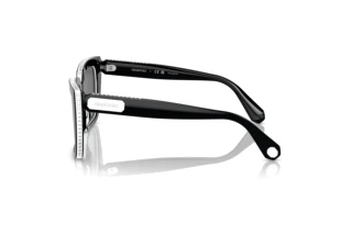 Vista laterale Swarovski SK6013 (101581)