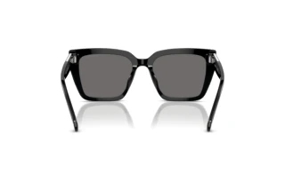 Vista posteriore Swarovski SK6013 (101581)