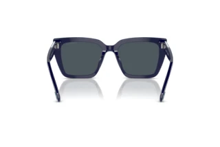 Vista posteriore Swarovski SK6013 (101887)