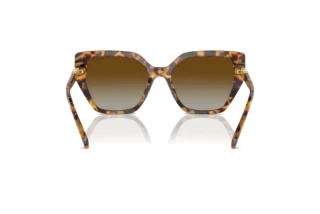 Vista posteriore Swarovski SK6016 (1004T5)