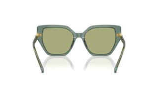 Vista posteriore Swarovski SK6016 (104382)