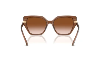 Vista posteriore Swarovski SK6016 (106713)