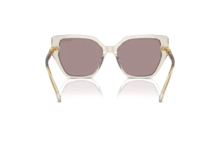 Vista posteriore Swarovski SK6016 (3003LA)