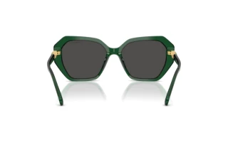 Vista posteriore Swarovski SK6017 (104587)