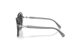 Vista laterale Swarovski SK6017 (106211)