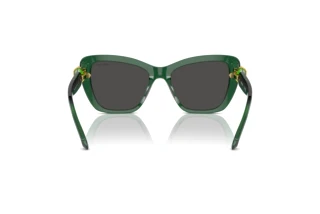 Vista posteriore Swarovski SK6018 (104587)