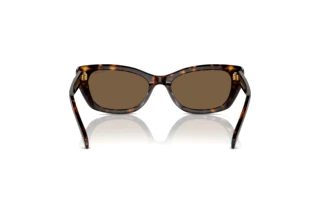 Vista posteriore Swarovski SK6019 (100273)