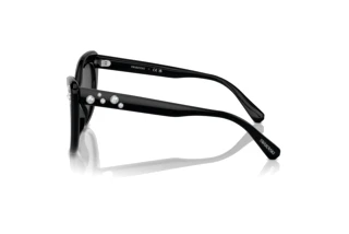 Vista laterale Swarovski SK6020 (100187)