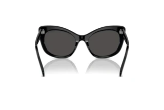 Vista posteriore Swarovski SK6020 (100187)