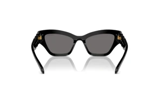 Vista posteriore Swarovski SK6021 (100181)