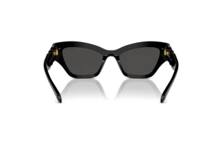 Vista posteriore Swarovski SK6021 (100187)