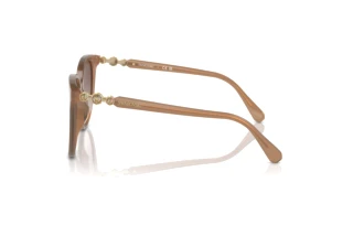 Vista laterale Swarovski SK6023D (200213)